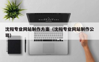 梨树县沈阳专业网站制作方案（沈阳专业网站制作公司）
